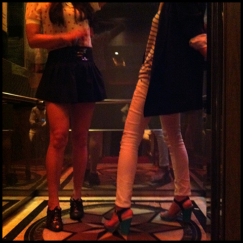 청담나이트4 강호동@