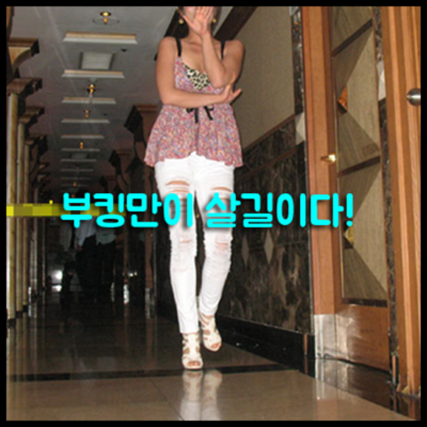 강남나이트7 강호동@